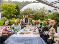 Dogs enjoy a special Big Lunch at tourist attraction