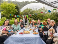 Dogs enjoy a special Big Lunch at tourist attraction