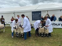 Royal Cornwall Show attendance drops