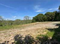 Piece of land with permission for housing is up for auction