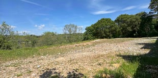 Piece of land with permission for housing is up for auction
