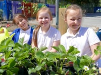 Gardening boost for primary school
