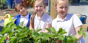 Gardening boost for primary school