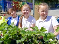 Gardening boost for primary school