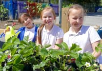 Royal Horticultural Society boosts primary school in St Austell