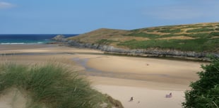 Residents invited to help protect dunes and improve biodiversity