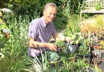 Gardening columnist will give face-to-face advice at plant sale in Cornwall