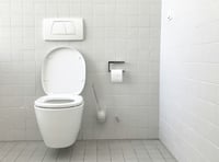 Kirstie Newton: Cornwall's pressing public toilet issue