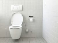 Kirstie Newton: Cornwall's pressing public toilet issue