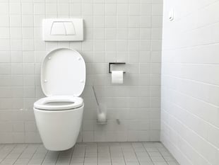 Kirstie Newton: Cornwall's pressing public toilet issue