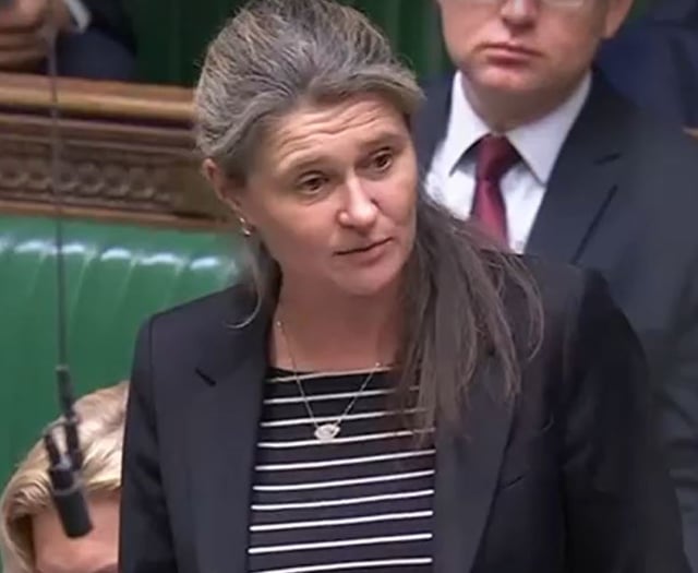 MP calls for more robust measures to tackle councillor’s behaviour