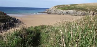 Man died after falling down cliff whilst trying to save his dog