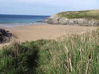 Man died after falling down cliff whilst trying to save his dog