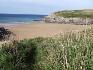 Man died after falling down cliff whilst trying to save his dog