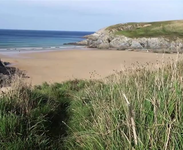 Man died after falling down cliff whilst trying to save his dog