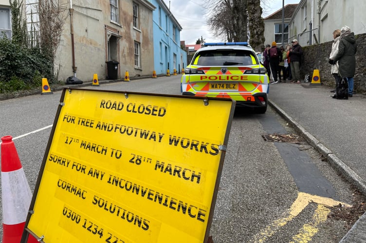 Trelawney Road in Falmouth was closed for the three trees to be felled - though it didn\'t eventually happen.