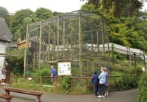 Monkey sanctuary forced to sell long-term home amid financial crisis