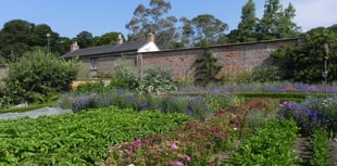 New fruit garden opens thanks to generous legacy