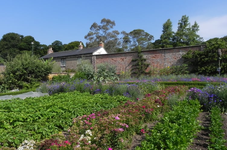 Vegetables, flowers and salad crops growing in the walled kitchen garden at Trengwainton