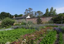 New fruit garden opens at Trengwainton thanks to generous legacy