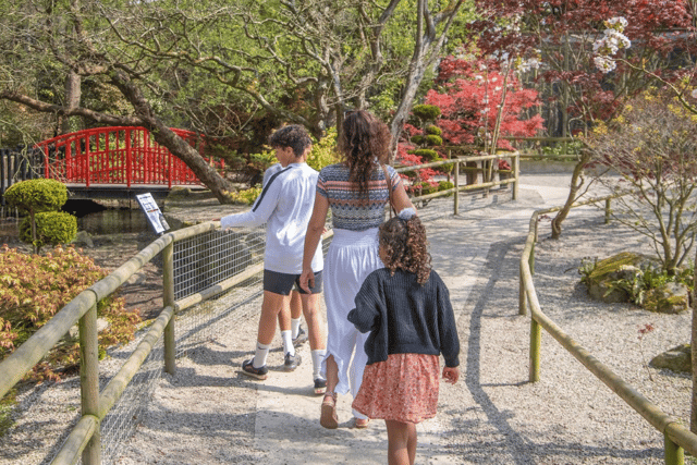 Zoo could be on the verge of being sold
