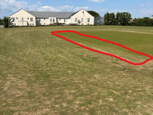 Town Council supports plans for new artificial cricket wicket