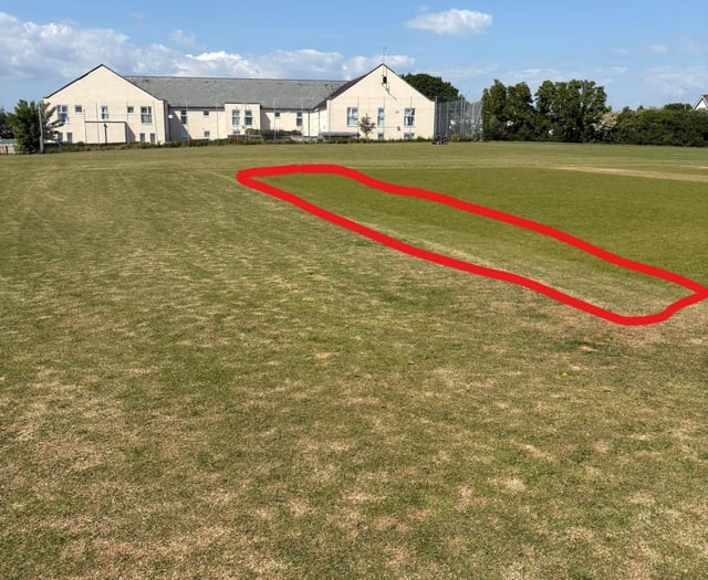Town Council supports plans for new artificial cricket wicket