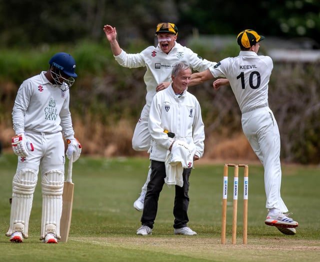 Wadebridge up to second after heavy defeats for Redruth and St Austell