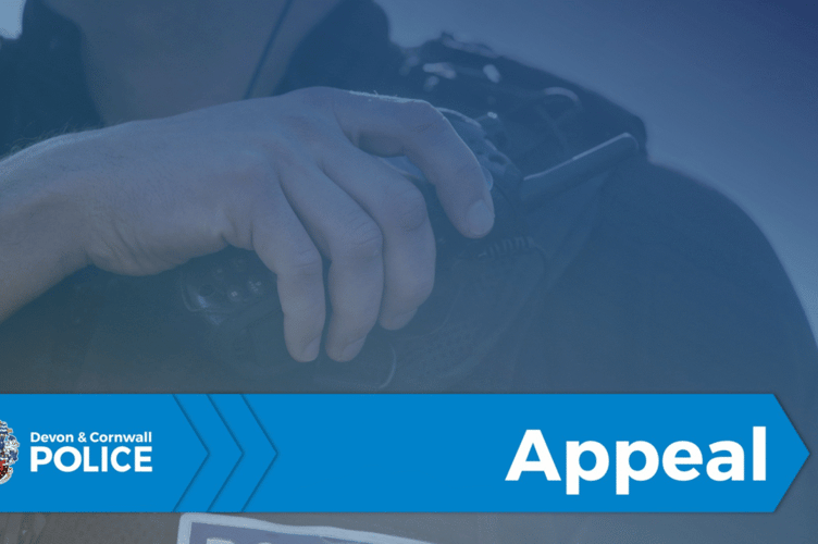 Police are appealing for information and witnesses after a man died in a single-car collision on the A38 on Sunday morning. Picture: (Devon & Cornwall Police)
