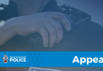 Witness appeal after assault at Port Eliot festival