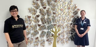New Memory Tree at Derriford's Snowdrop Suite to remember baby loss