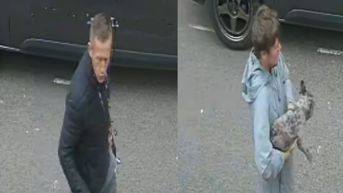 Police appeal for help identifying two men following serious assault ...