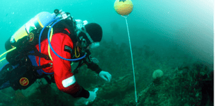 Police investigate illegal fishing activity on HMS Coronation wreck 