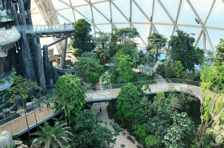 Inside the Storm Forest biome at Oriental Eden in China