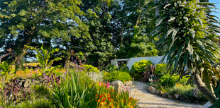 'Mini Eden' to open for National Garden Scheme