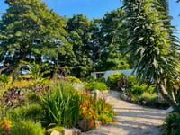 'Mini Eden' to open for National Garden Scheme