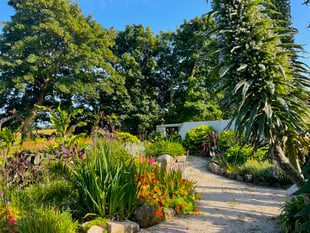 'Mini Eden' to open for National Garden Scheme