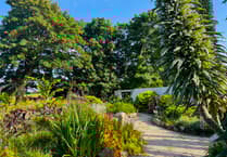 'Mini Eden' to open for National Garden Scheme