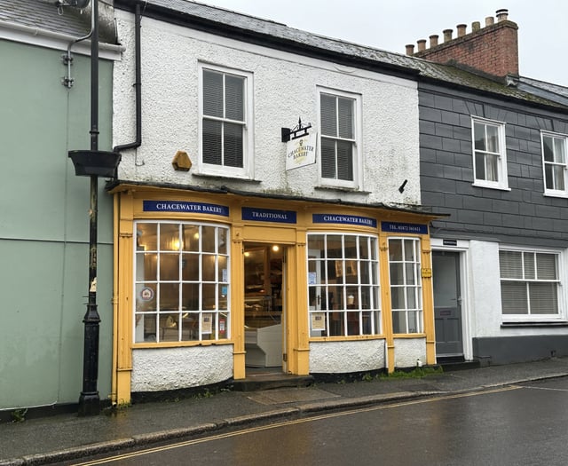 Mixed use properties among lots going under the hammer
