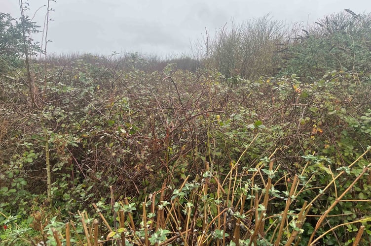 Land Adjacent to Penzance Park Ride.