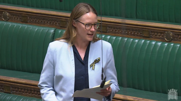 Anna Gelderd: Labour MP for South East Cornwall
