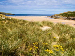 RNLI lifeguards rescue two beachgoers 