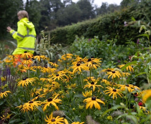 Volunteers wanted to help transform green spaces
