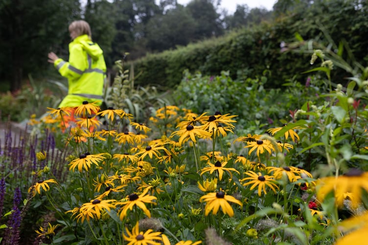 Residents in Liskeard are being encouraged to take part in Cornwall Council’s flagship Urban Green Shoots project