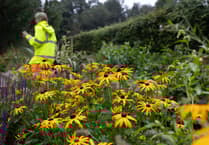 Volunteers wanted to help transform Liskeard’s green spaces