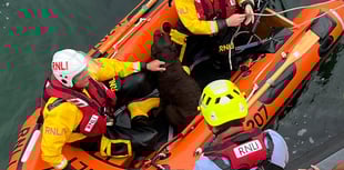 Lifeboat volunteers save Nutmeg the dog