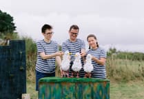Pavilion set to host entertaining outdoor puppetry show