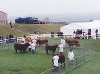 Cornwall Favourites: Wadebridge and the Royal Cornwall Show