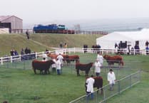 Cornwall Favourites: Wadebridge and the Royal Cornwall Show