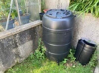 Gardening with Martin Pallett: Leaving some space for weeds
